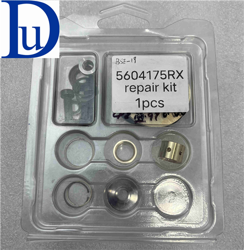 5604175 HE300VG Turbocharger repair kit used for Cummins Bus Truck 6.7L ISB QSB Engine